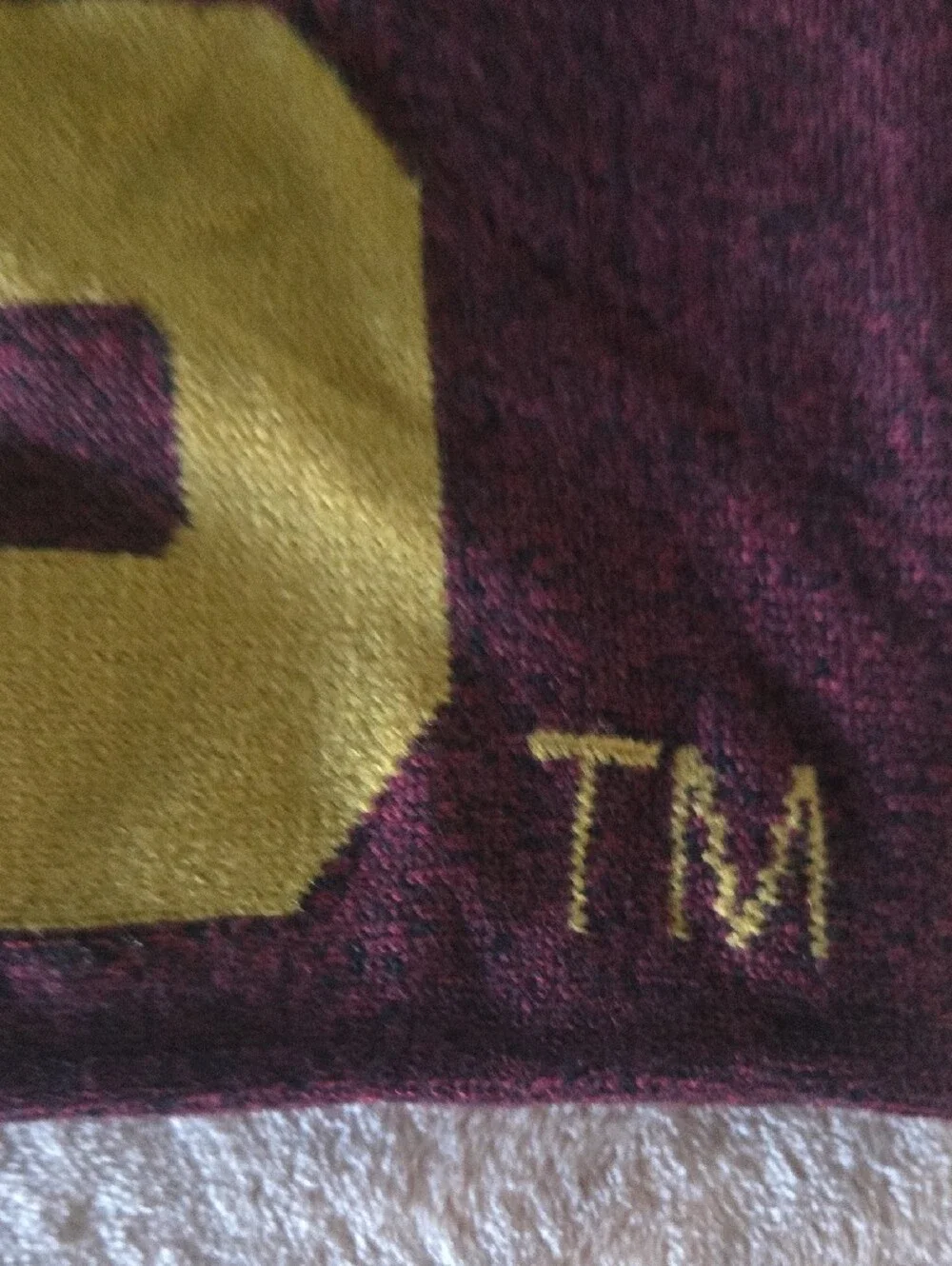 New With Tag Harry Potter Hogwarts Crest Knit Scarf with Tassels